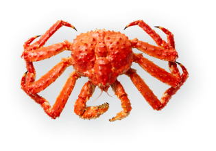 Красный королевский краб Аляски.