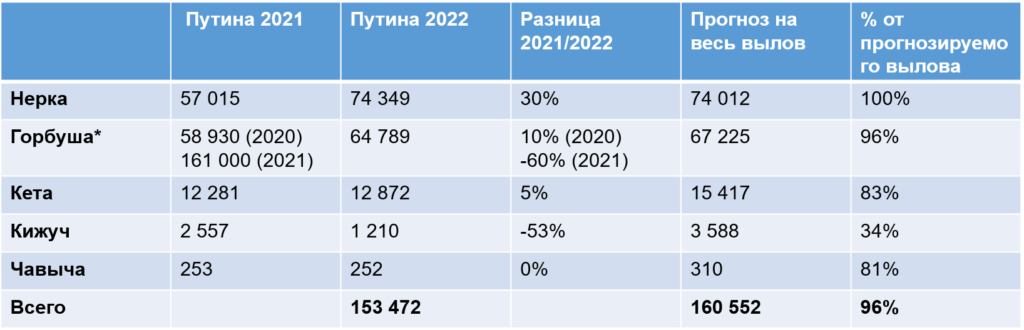 Лососевая путина на Аляске 2022